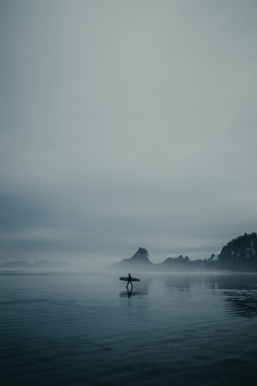 韩国“神话王国”南怡岛绝美夏景_